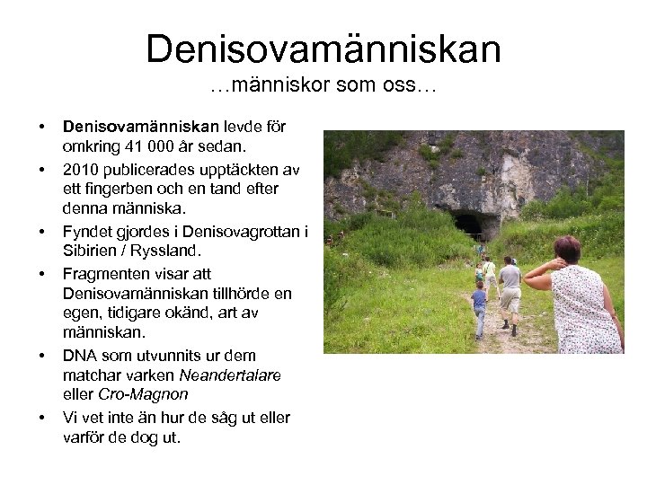 Denisovamänniskan …människor som oss… • • • Denisovamänniskan levde för omkring 41 000 år