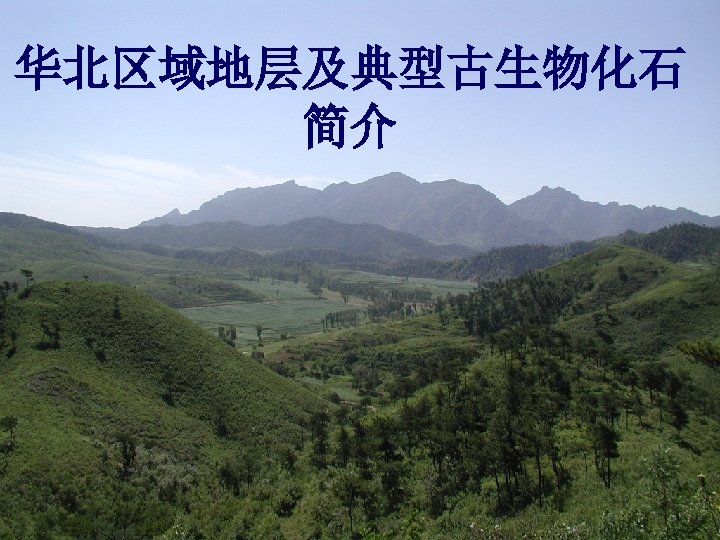 华北区域地层及典型古生物化石 简介 