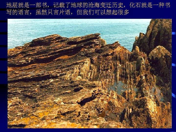 地层就是一部书，记载了地球的沧海变迁历史，化石就是一种书 写的语言，虽然只言片语，但我们可以想起很多 