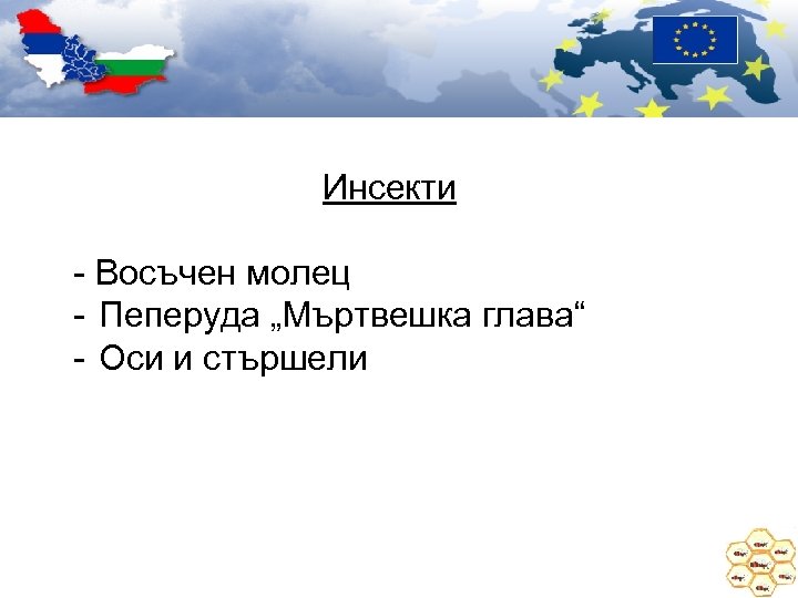 Инсекти - Восъчен молец - Пеперуда „Мъртвешка глава“ - Оси и стършели 