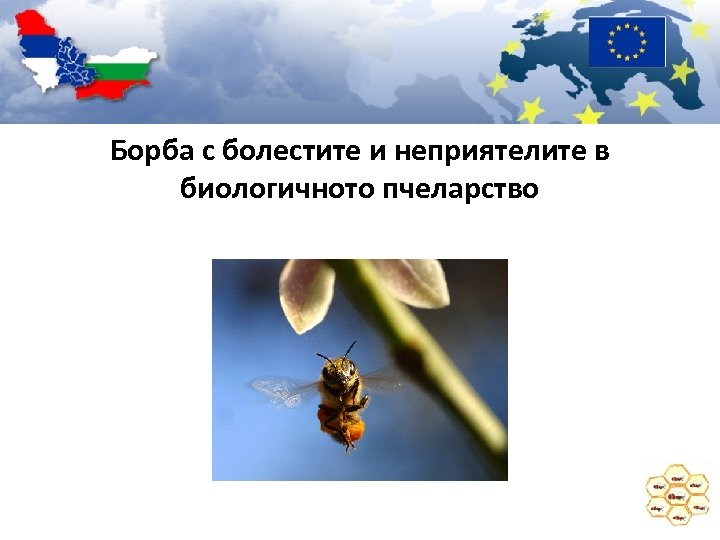 Борба с болестите и неприятелите в биологичното пчеларство 