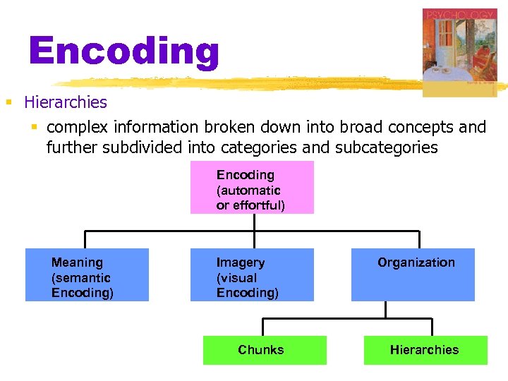 Encoding § Hierarchies § complex information broken down into broad concepts and further subdivided