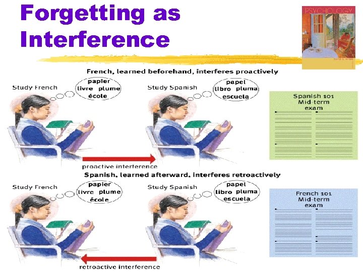 Forgetting as Interference 