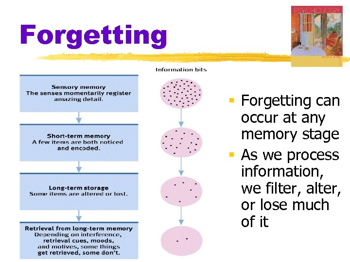 Forgetting § Forgetting can occur at any memory stage § As we process information,