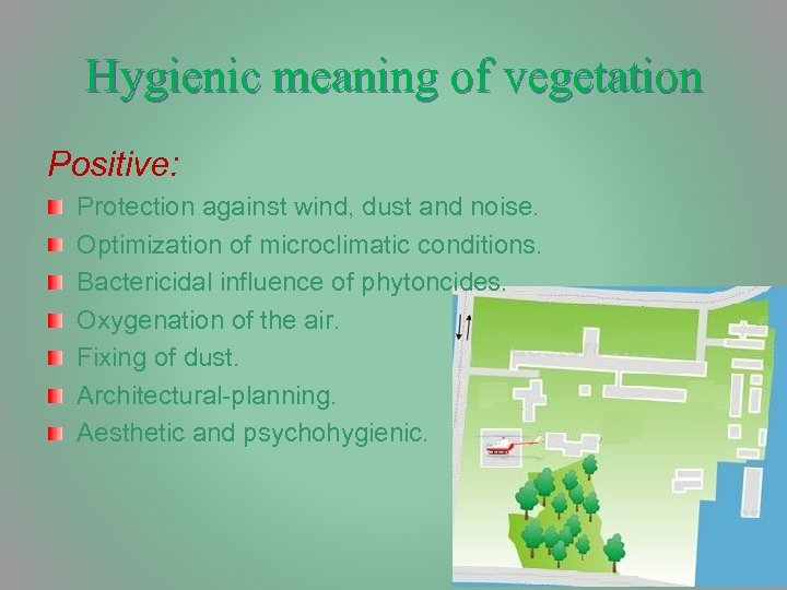Hygienic meaning of vegetation Positive: Protection against wind, dust and noise. Optimization of microclimatic