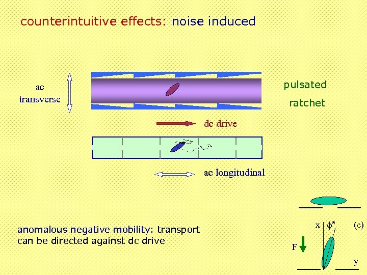 counterintuitive effects: noise induced pulsated ac transverse ratchet dc drive ac longitudinal anomalous negative