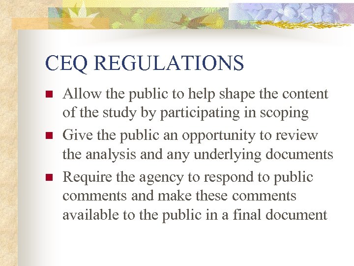CEQ REGULATIONS n n n Allow the public to help shape the content of