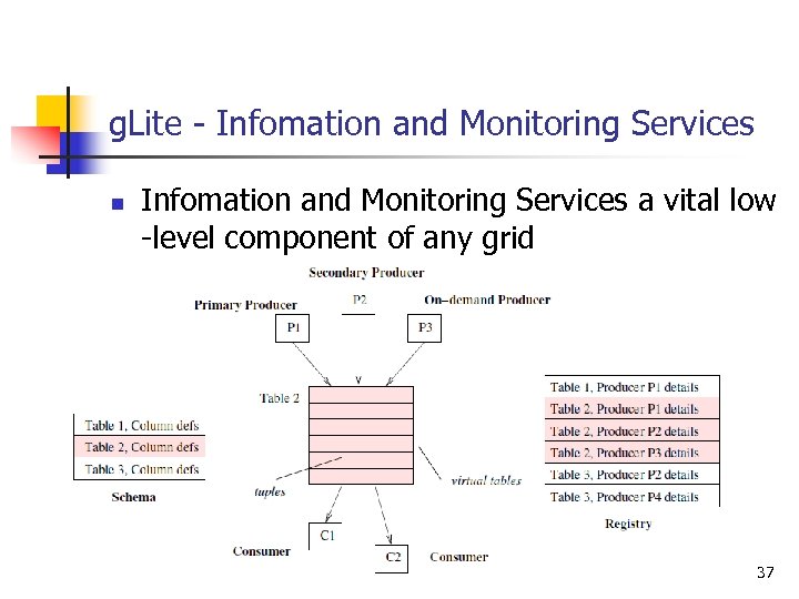 g. Lite - Infomation and Monitoring Services n Infomation and Monitoring Services a vital