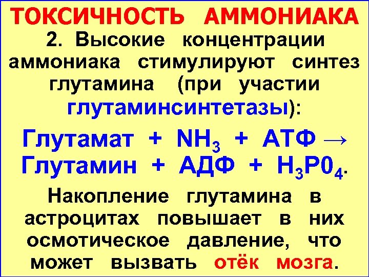 ТОКСИЧНОСТЬ АММОНИАКА 2. Высокие концентрации аммониака стимулируют синтез глутамина (при участии глутаминсинтетазы): Глутамат +