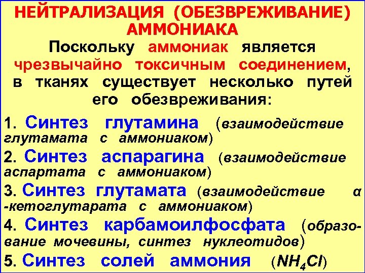 НЕЙТРАЛИЗАЦИЯ (ОБЕЗВРЕЖИВАНИЕ) АММОНИАКА Поскольку аммониак является чрезвычайно токсичным соединением, в тканях существует несколько путей