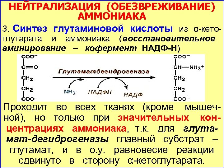 Глутаминовая кислота в продуктах