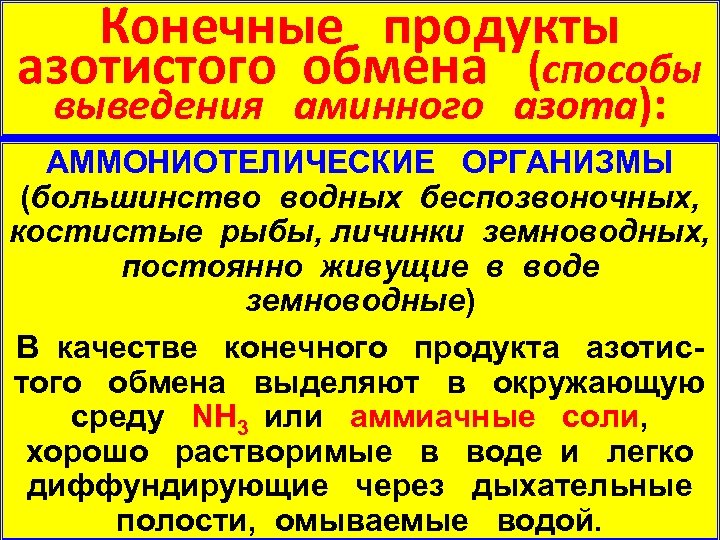 Конечные продукты азотистого обмена (способы выведения аминного азота): АММОНИОТЕЛИЧЕСКИЕ ОРГАНИЗМЫ (большинство водных беспозвоночных, АММОНИОТЕЛИЧЕСКИЕ