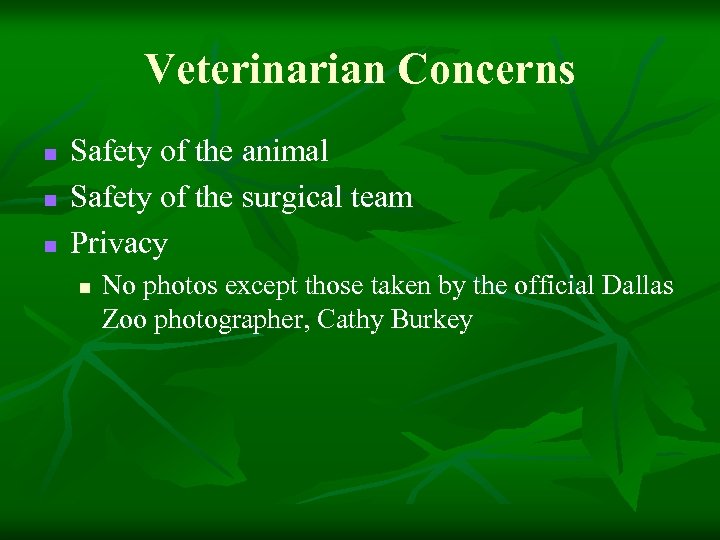 Veterinarian Concerns n n n Safety of the animal Safety of the surgical team