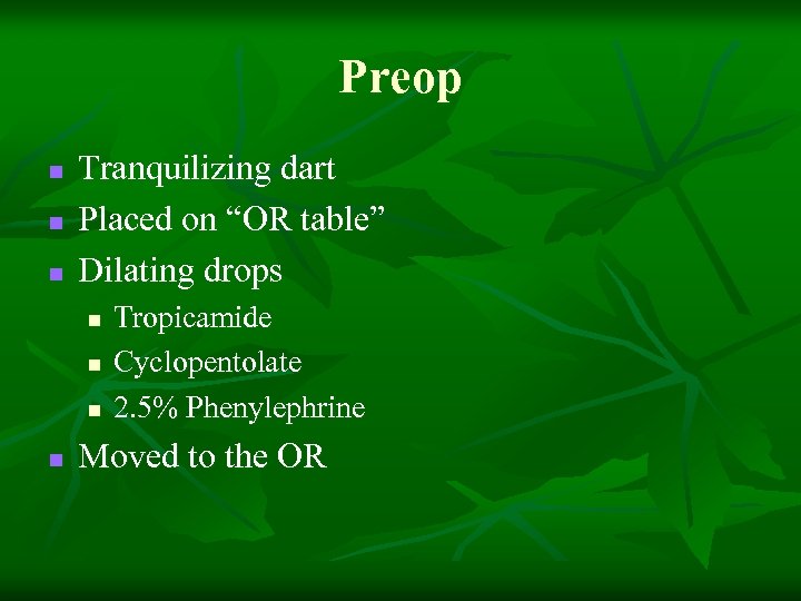 Preop n n n Tranquilizing dart Placed on “OR table” Dilating drops n n