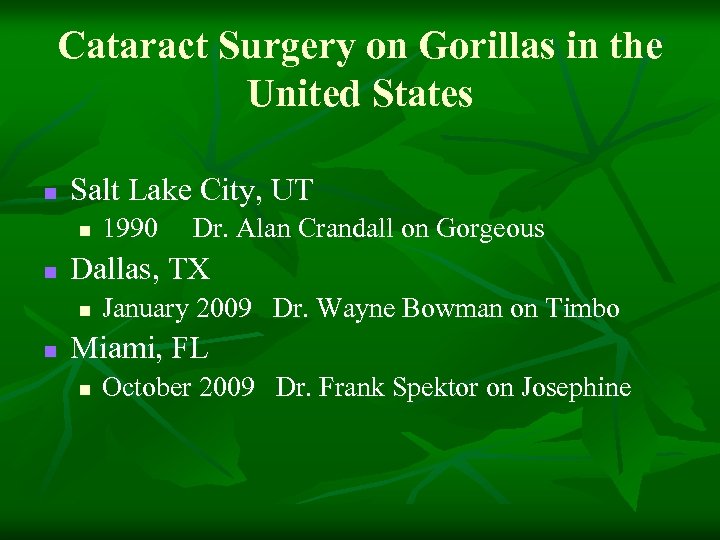 Cataract Surgery on Gorillas in the United States n Salt Lake City, UT n
