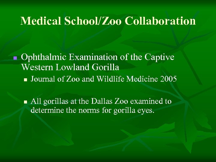 Medical School/Zoo Collaboration n Ophthalmic Examination of the Captive Western Lowland Gorilla n n