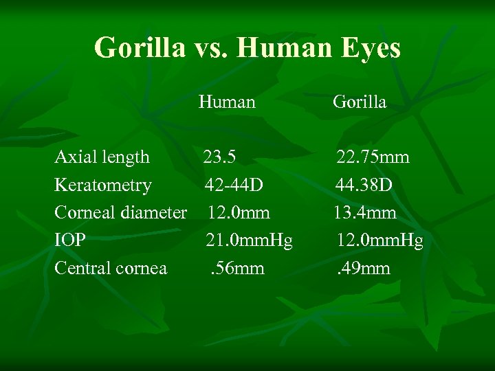 Gorilla vs. Human Eyes Human Axial length Keratometry Corneal diameter IOP Central cornea Gorilla