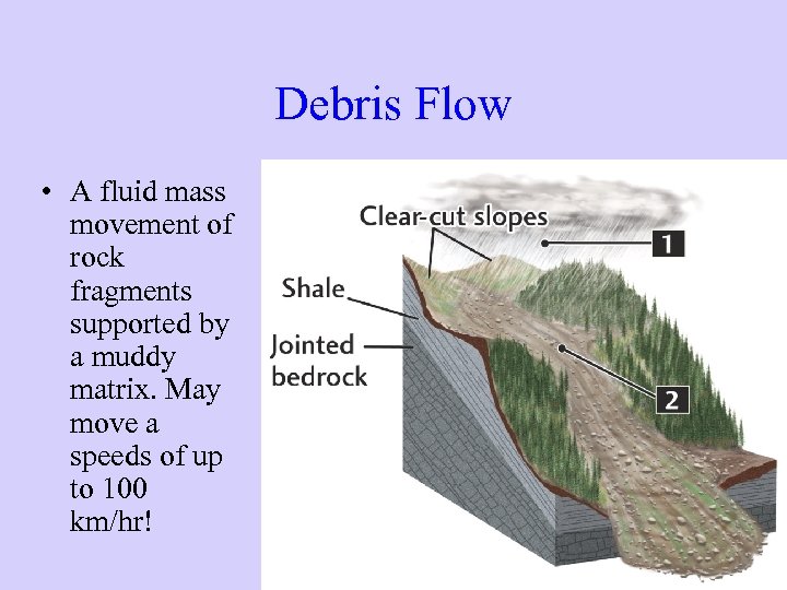 Debris Flow • A fluid mass movement of rock fragments supported by a muddy