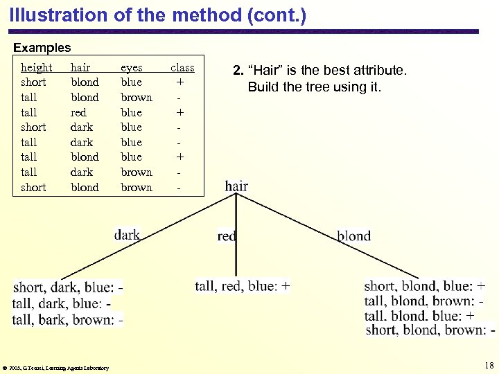 Illustration of the method (cont. ) Examples height short tall tall short hair blond