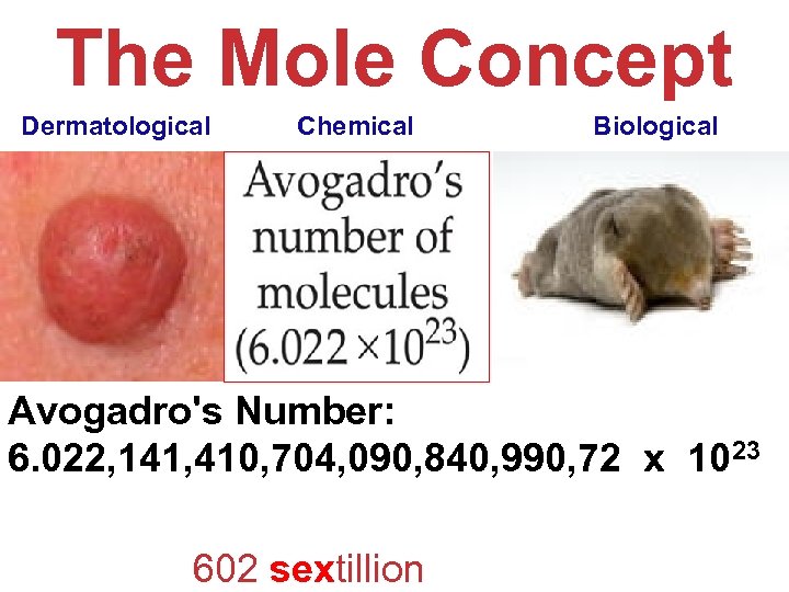 The Mole Concept Dermatological Chemical Biological Avogadro's Number: 6. 022, 141, 410, 704, 090,