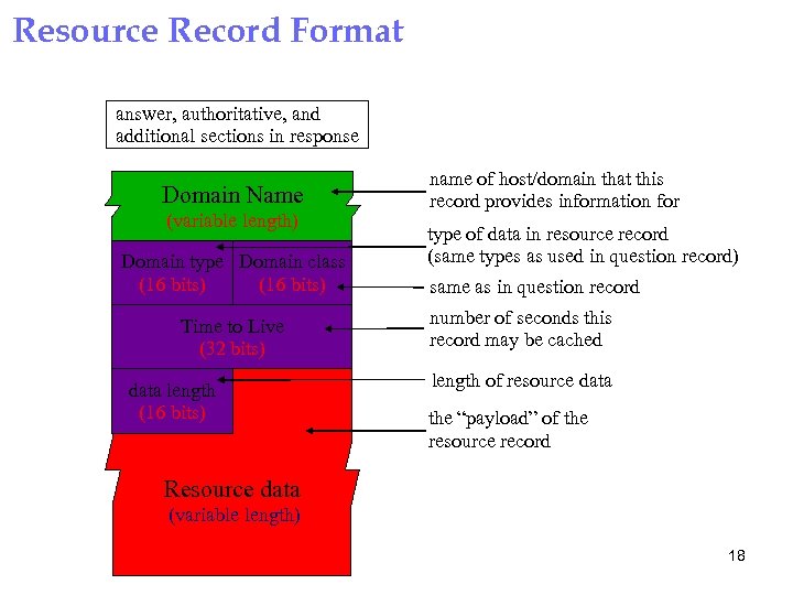 Resource Record Format answer, authoritative, and additional sections in response Domain Name (variable length)