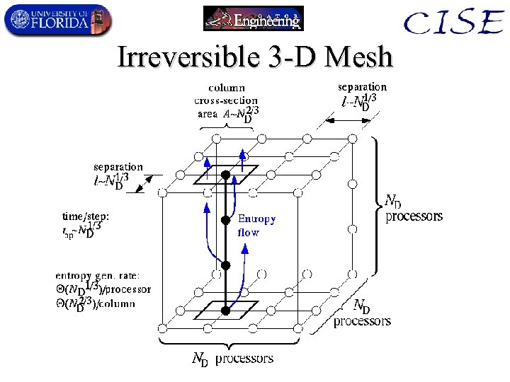Irreversible 3 -D Mesh 
