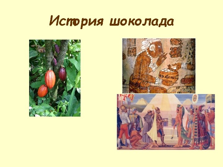 История шоколада 