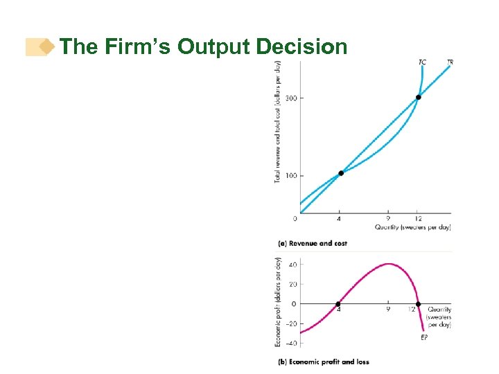 The Firm’s Output Decision 