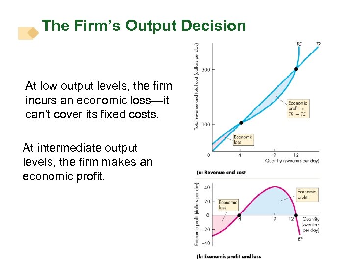 The Firm’s Output Decision At low output levels, the firm incurs an economic loss—it