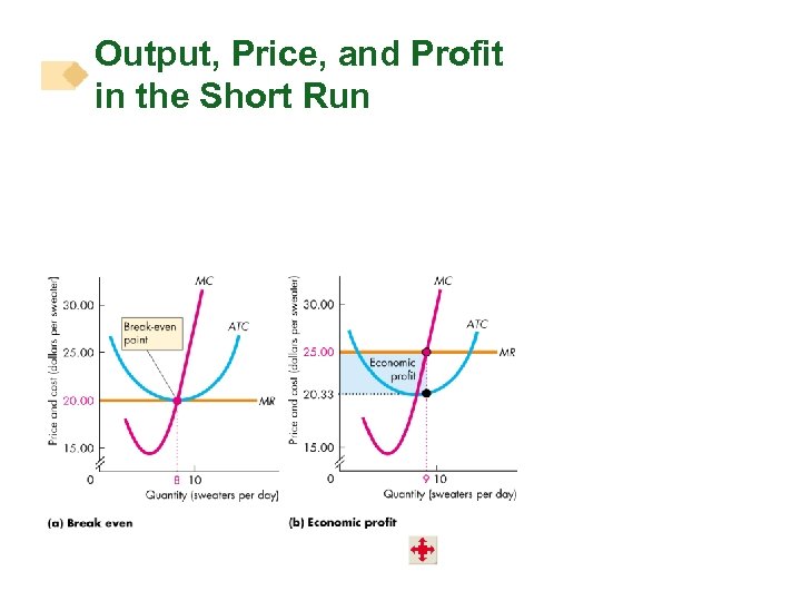 Output, Price, and Profit in the Short Run 