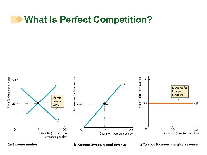 What Is Perfect Competition? 
