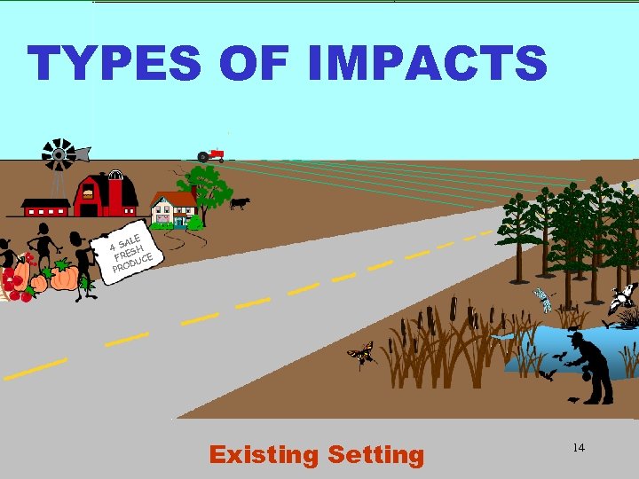 TYPES OF IMPACTS ALE 4 S SH FRE UCE D PRO Existing Setting 14