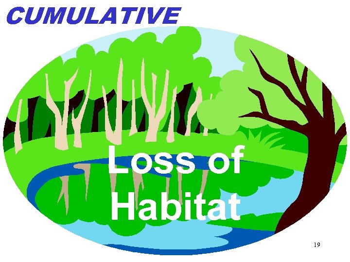 CUMULATIVE Loss of Habitat 19 