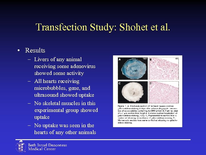 Transfection Study: Shohet et al. • Results – Livers of any animal receiving some