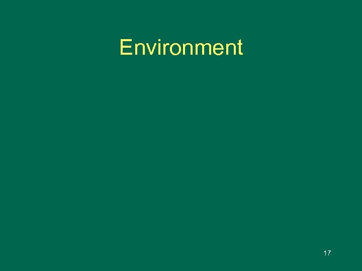Environment 17 