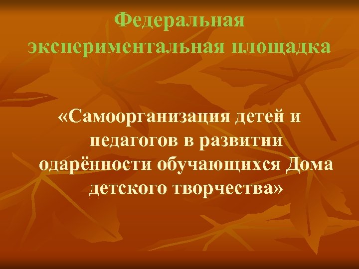 Федеральная экспериментальная площадка «Самоорганизация детей и педагогов в развитии одарённости обучающихся Дома детского творчества»