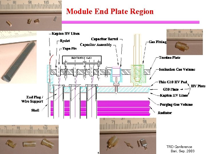 Module End Plate Region Chiho Wang Duke University 6 TRD Conference Bari, Sep. 2003