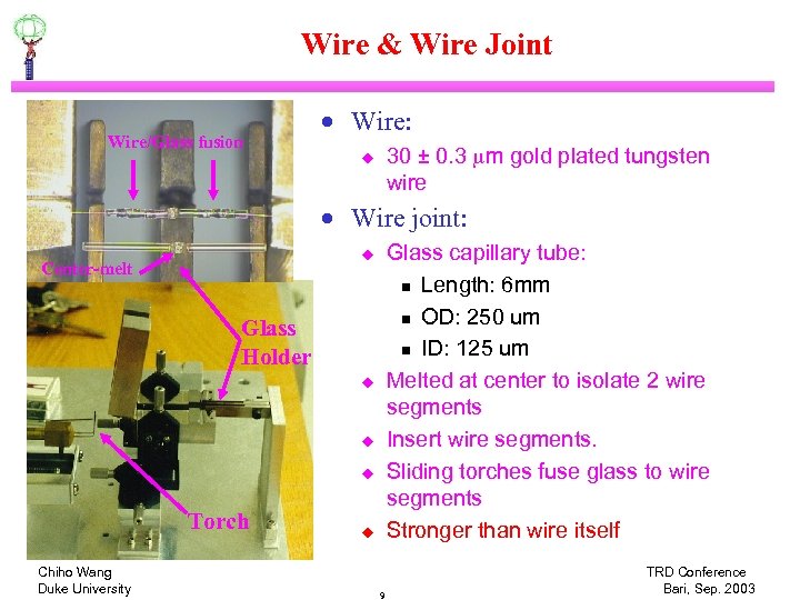 Wire & Wire Joint Wire/Glass fusion · Wire: 30 ± 0. 3 mm gold