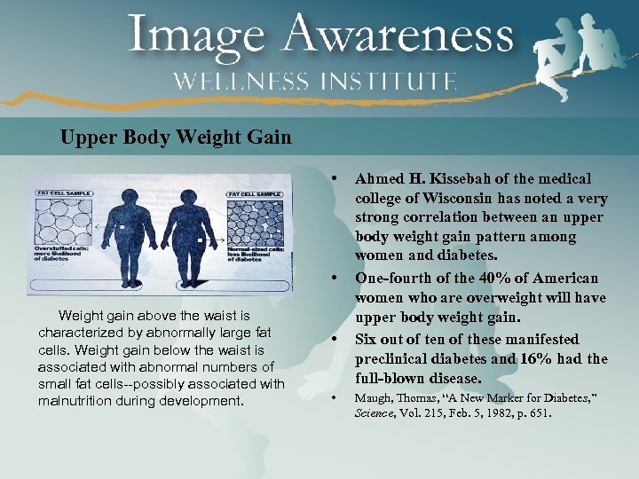 Upper Body Weight Gain • • Weight gain above the waist is characterized by