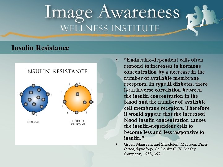 Insulin Resistance • “Endocrine-dependent cells often respond to increases in hormone concentration by a