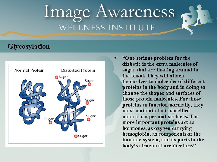 Glycosylation • “One serious problem for the diabetic is the extra molecules of sugar