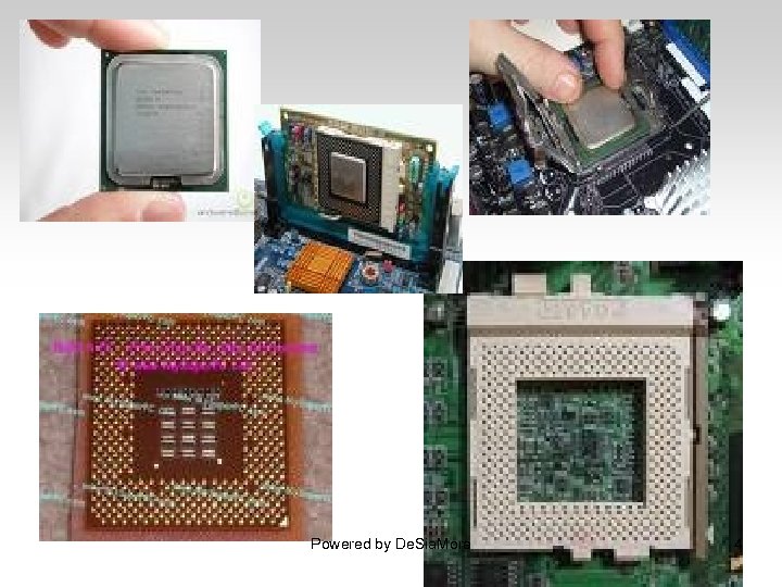 Powered by De. Sia. More 4 