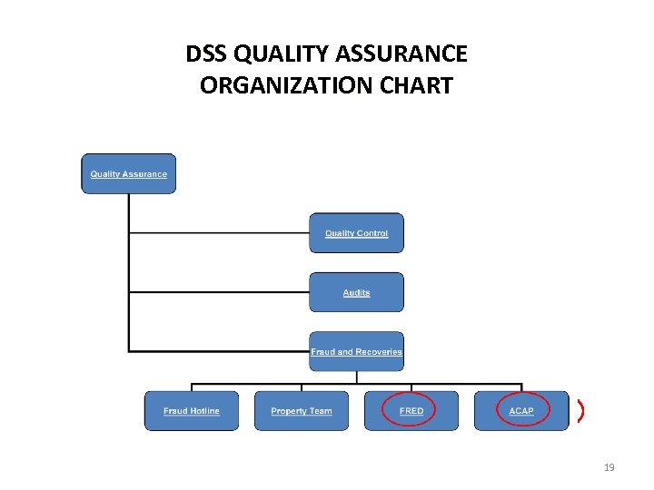 DSS QUALITY ASSURANCE ORGANIZATION CHART 19 