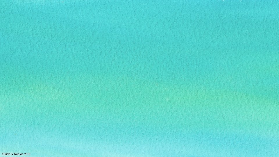 Guido & Kantor, 2016 