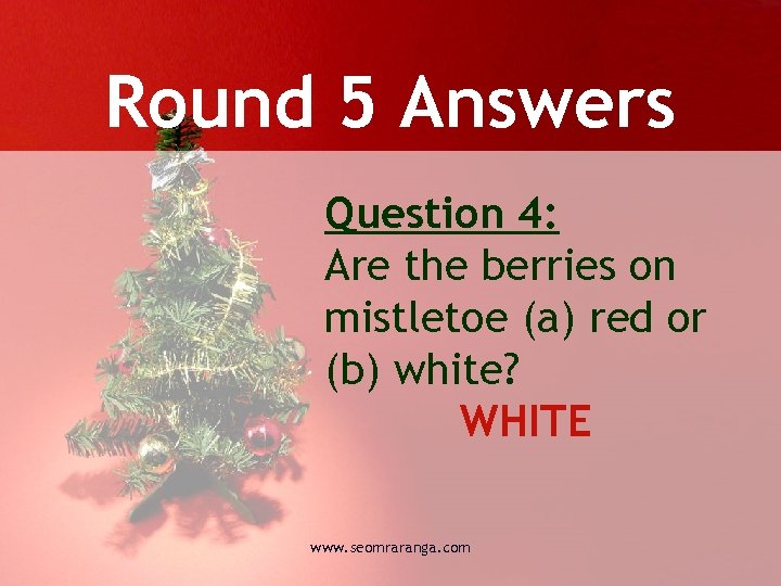 Round 5 Answers Question 4: Are the berries on mistletoe (a) red or (b)