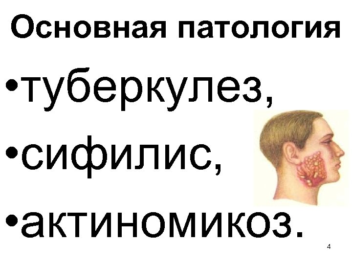 Основная патология • туберкулез, • сифилис, • актиномикоз. 4 