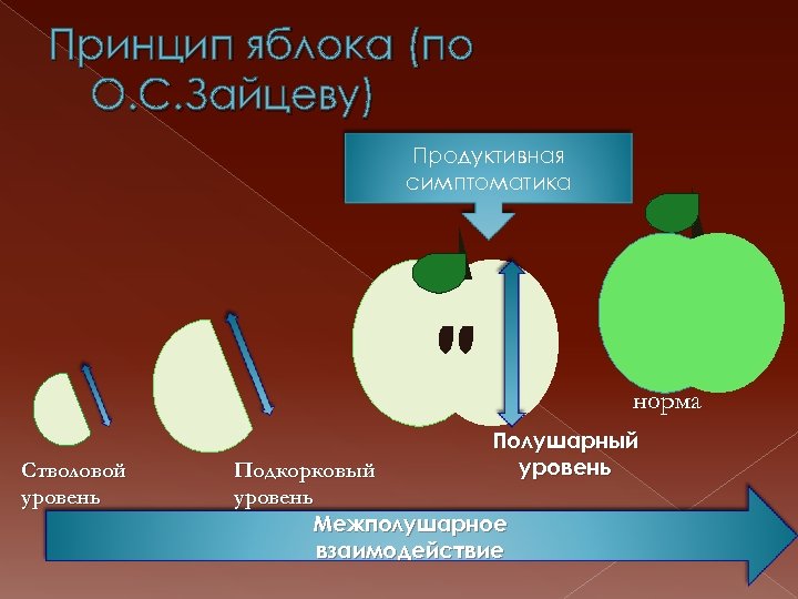 Принцип яблока (по О. С. Зайцеву) Продуктивная симптоматика норма Стволовой уровень Полушарный уровень Подкорковый