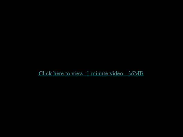 Click here to view 1 minute video - 36 MB 24 
