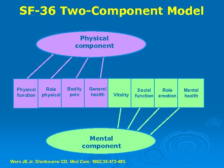SF-36 Two-Component Model Physical component Physical function Role physical Bodily pain General health Vitality