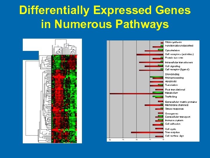 Differentially Expressed Genes in Numerous Pathways 